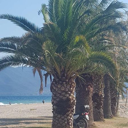 אספרובלטה Apartment With Two Rooms Near The Beach מראה חיצוני תמונה